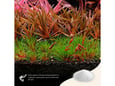 2Hr Aquarist APT SKY - 150g