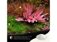 2Hr Aquarist APT SKY - 150g
