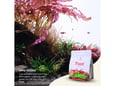 2Hr Aquarist APT Feast - 5L