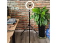 Tripod LC888 sa LED rasvetom