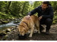 PET TREATMENT Činija za pse 350ml