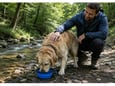 PET TREATMENT Činija za pse 350ml
