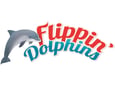 SmartGames Logička igra Flippin' Dolphins SGT 310-8